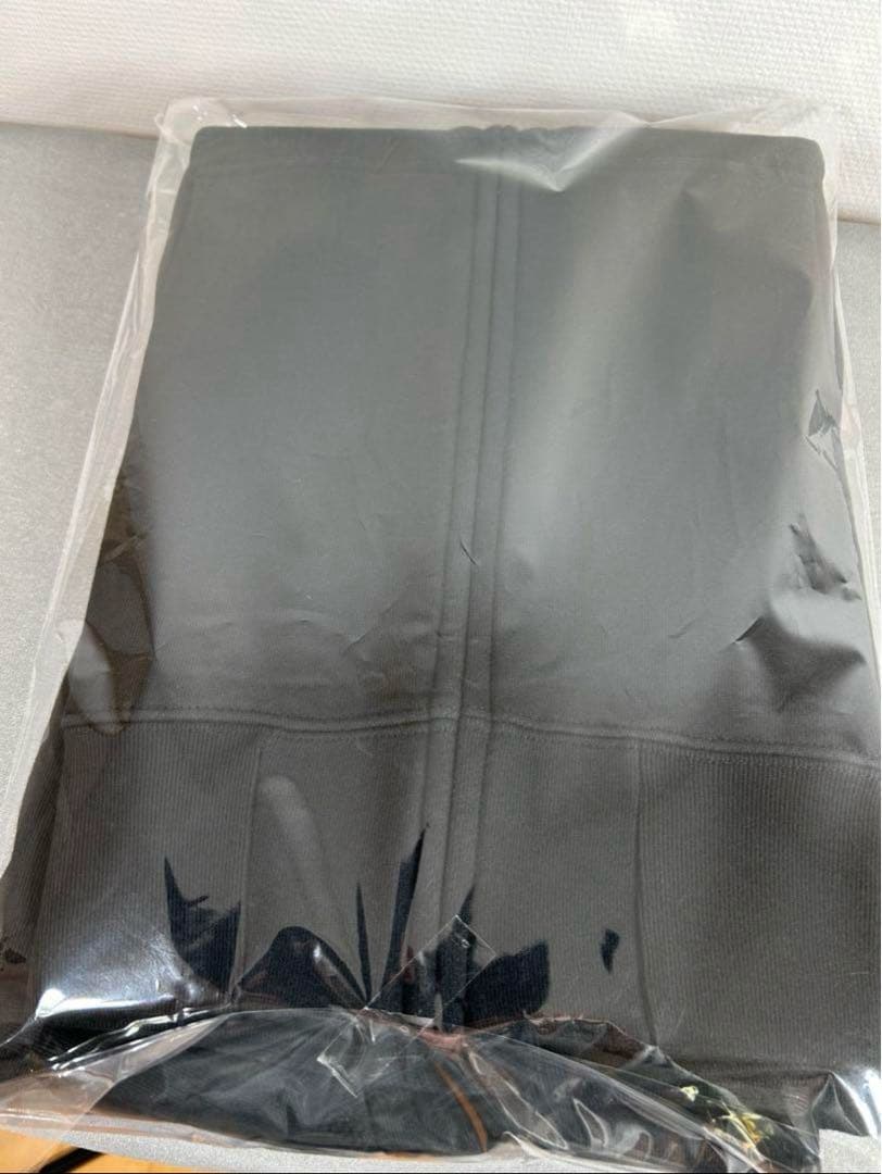 新品　MR.BIG ミスタービッグ　2025ラストライブ　武道館　ジップパーカー