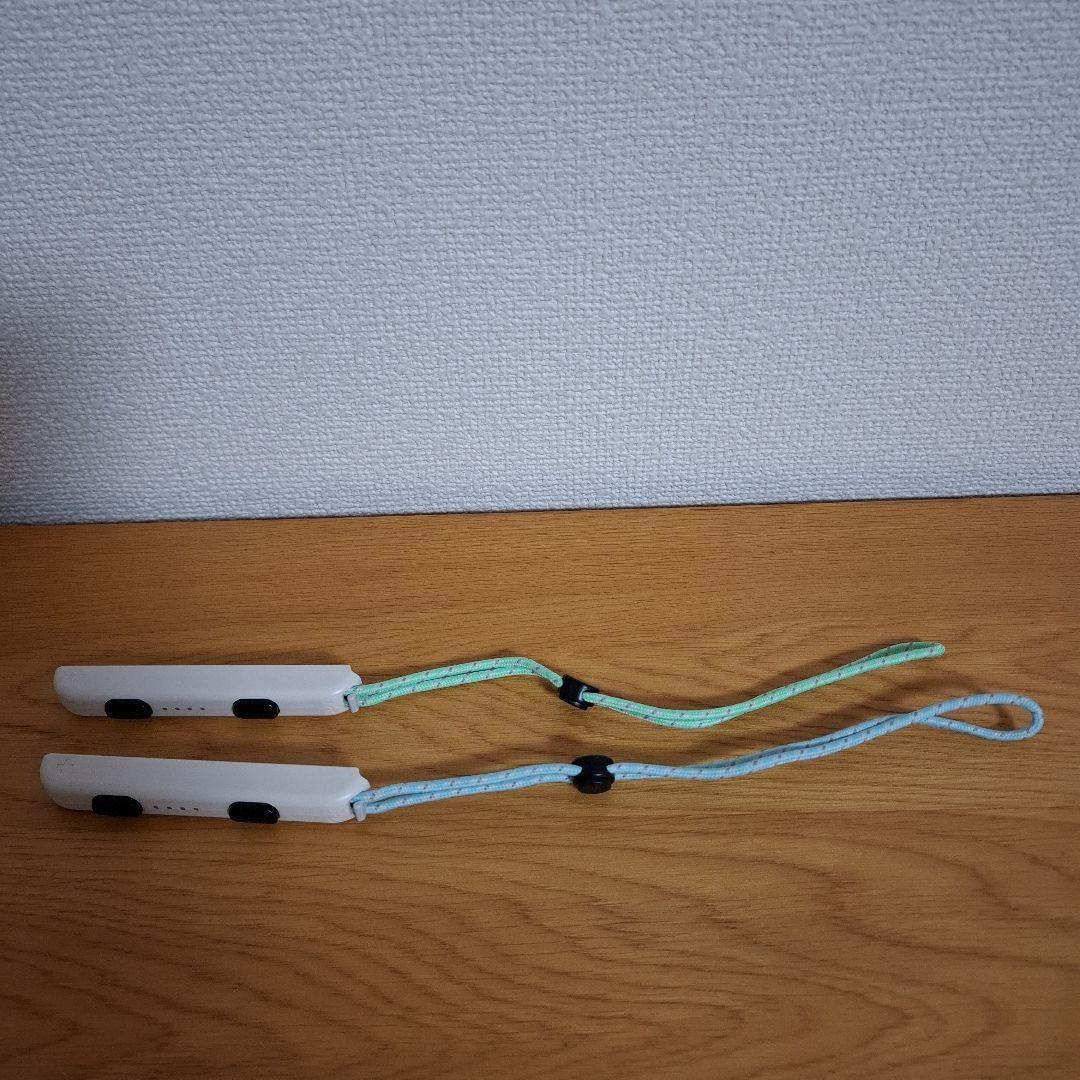 Nintendo Switch どうぶつの森エディション