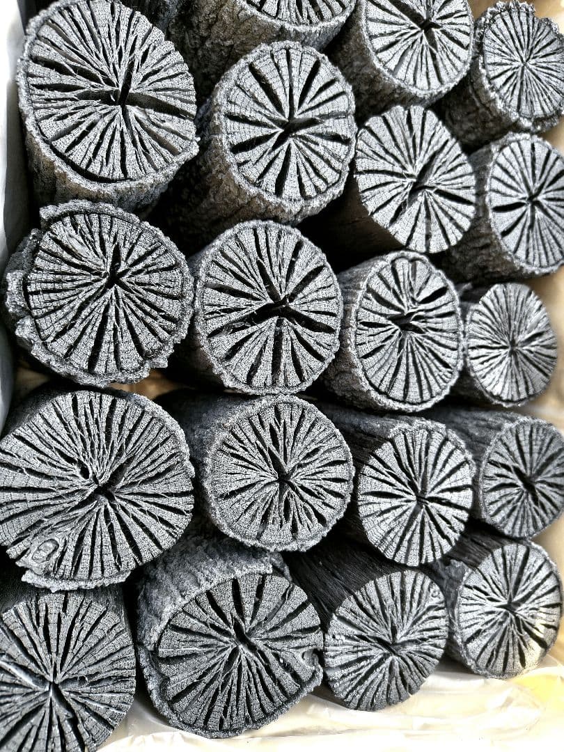 【愛媛産】クヌギ炉用胴炭約5kg 皮剥がれ