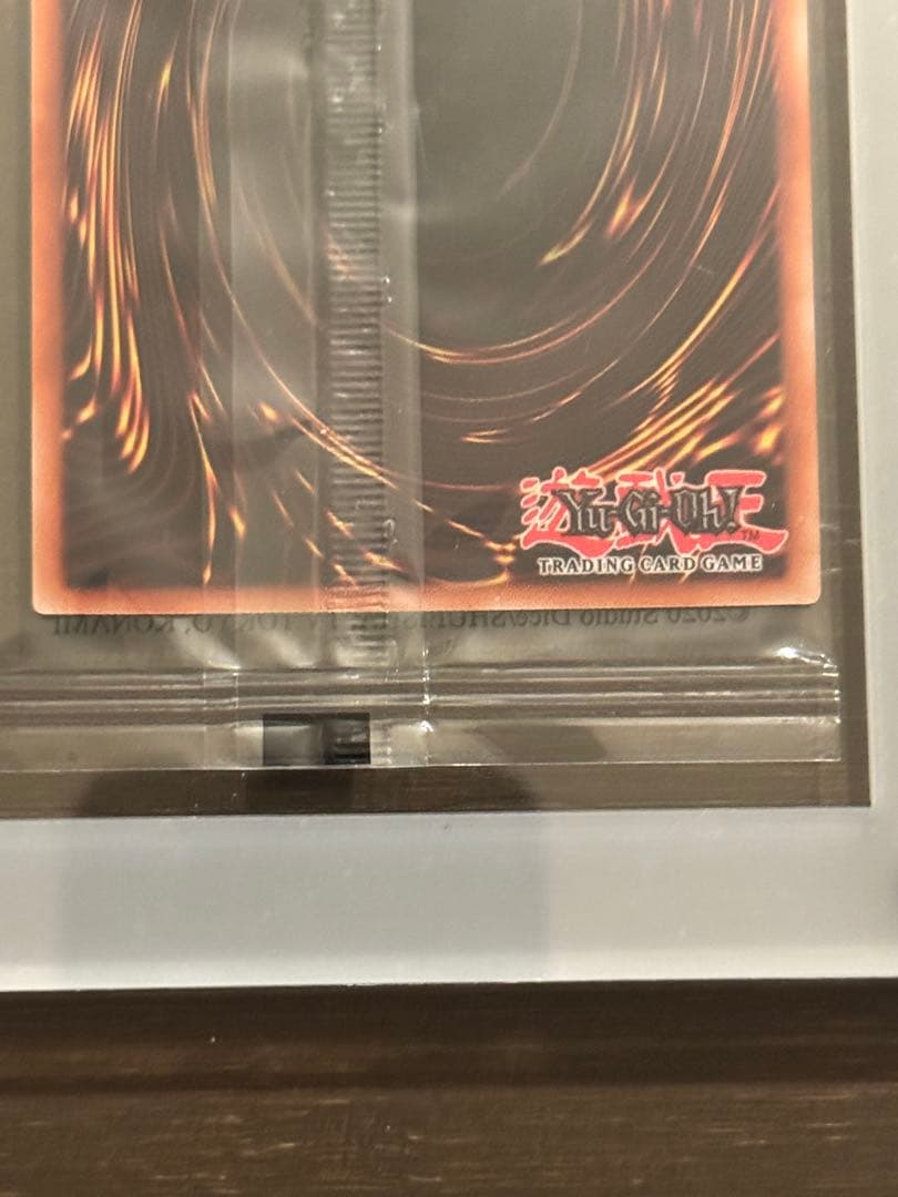 青眼の亜白龍　北米　ブルーシークレット　ブルシク　未開封　540枚限定