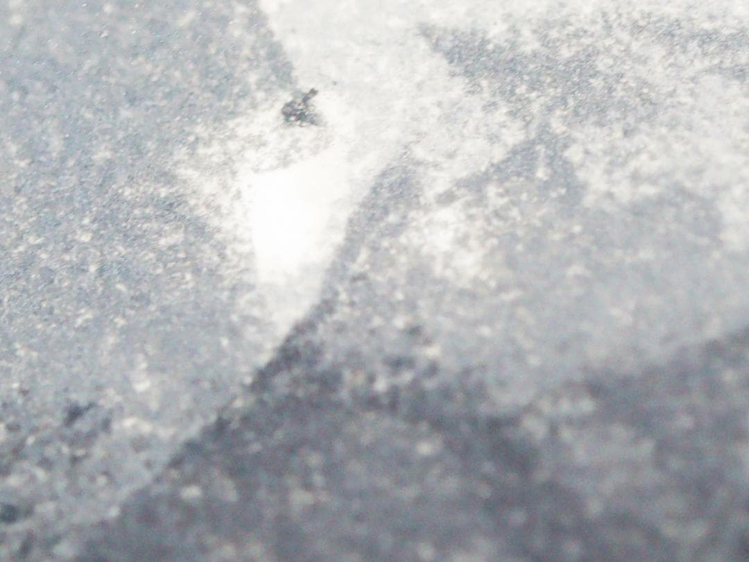 芝田米三 冬 リトグラフ 89/125部 額装 真作保証