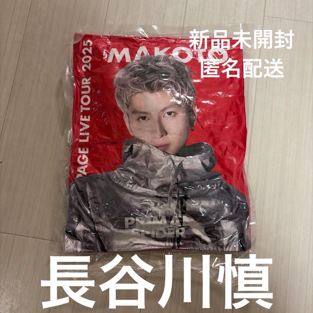 長谷川慎　クッション　PRIMALSPIDER プラスパ新品未開封　匿名配送