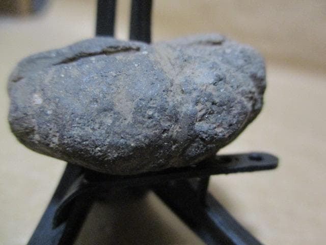 縄文土器　小動物？昆虫？珍品　箱付き　R99-2