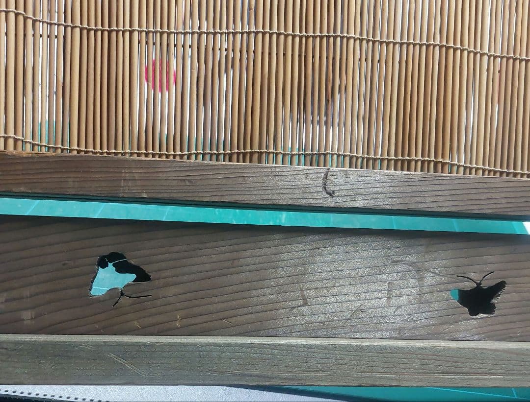 ★骨董品　木製 透かし 折りたたみ式 屏風 1 古民具