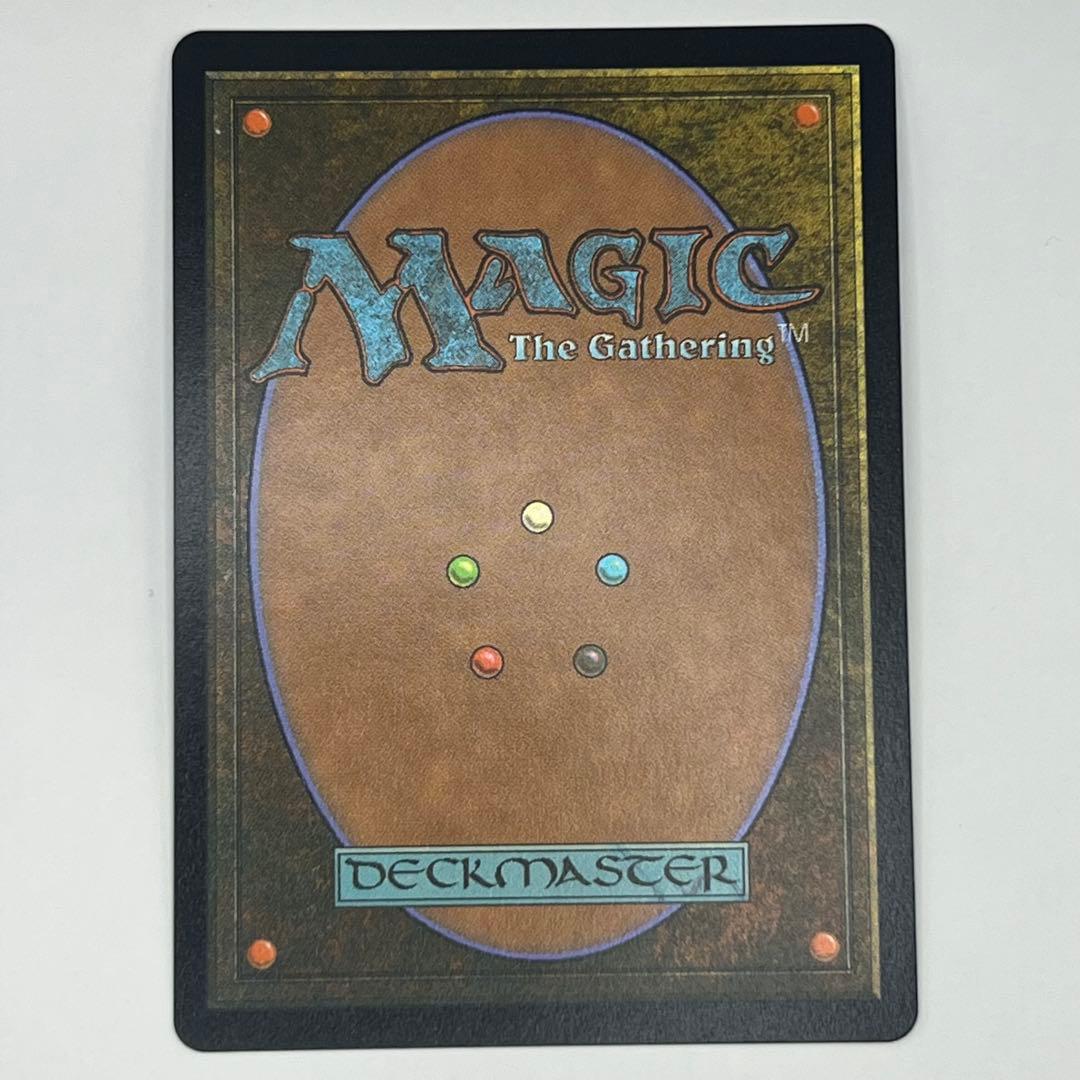 MTG 旅するチョコボ/ チョコボトラックfoil 日本語1枚 FIN