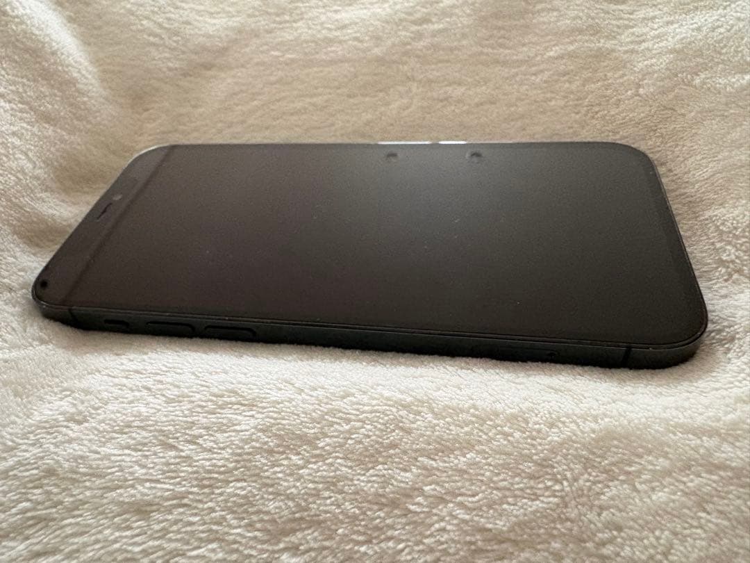 Apple iPhone 12 Pro 青 ケース付き