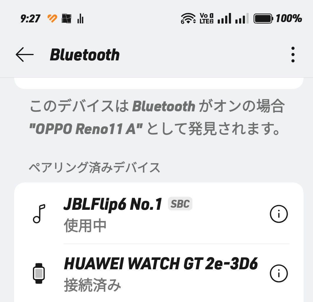 JBL Flip6 ホワイト ケース付き