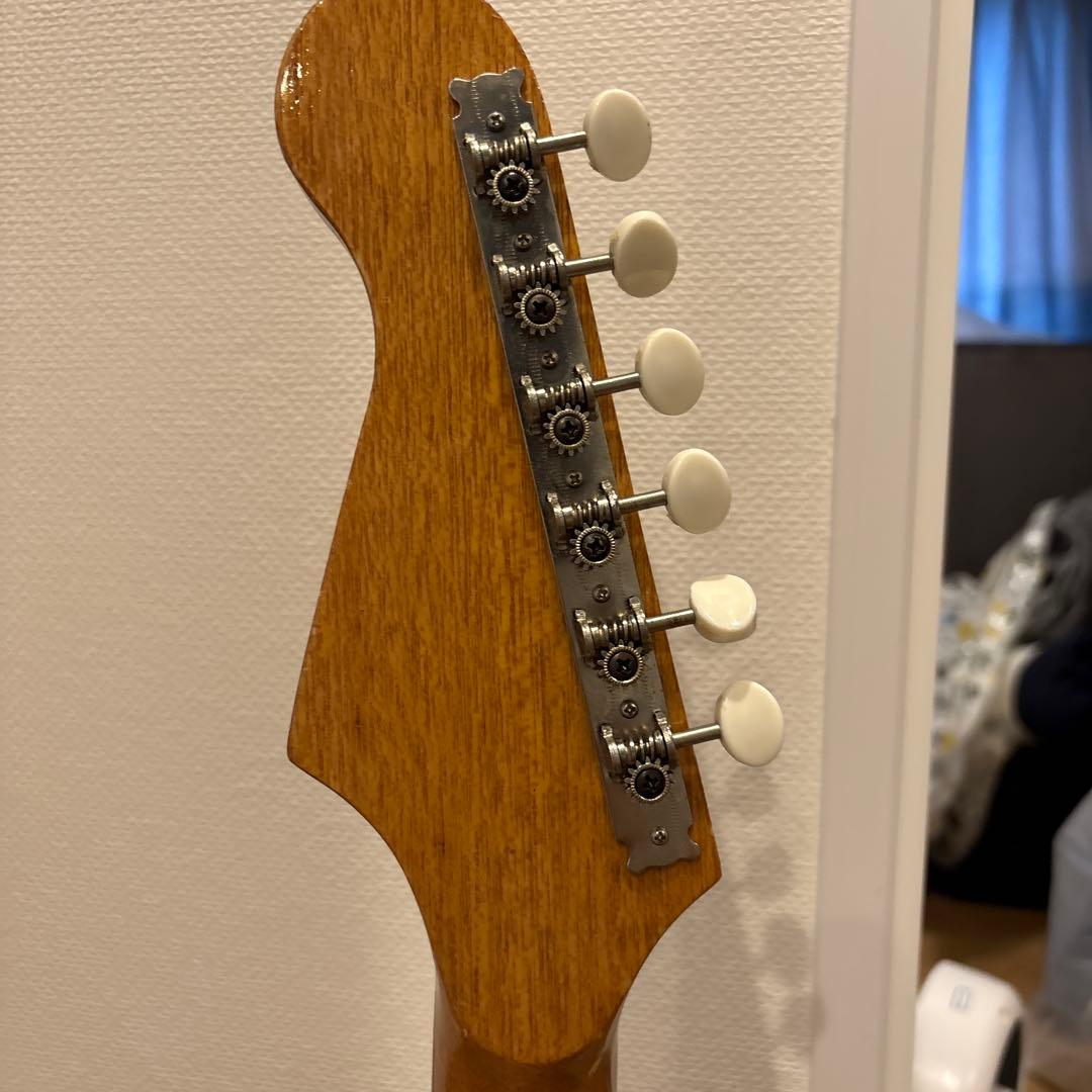 tomson splendor ビザールギター