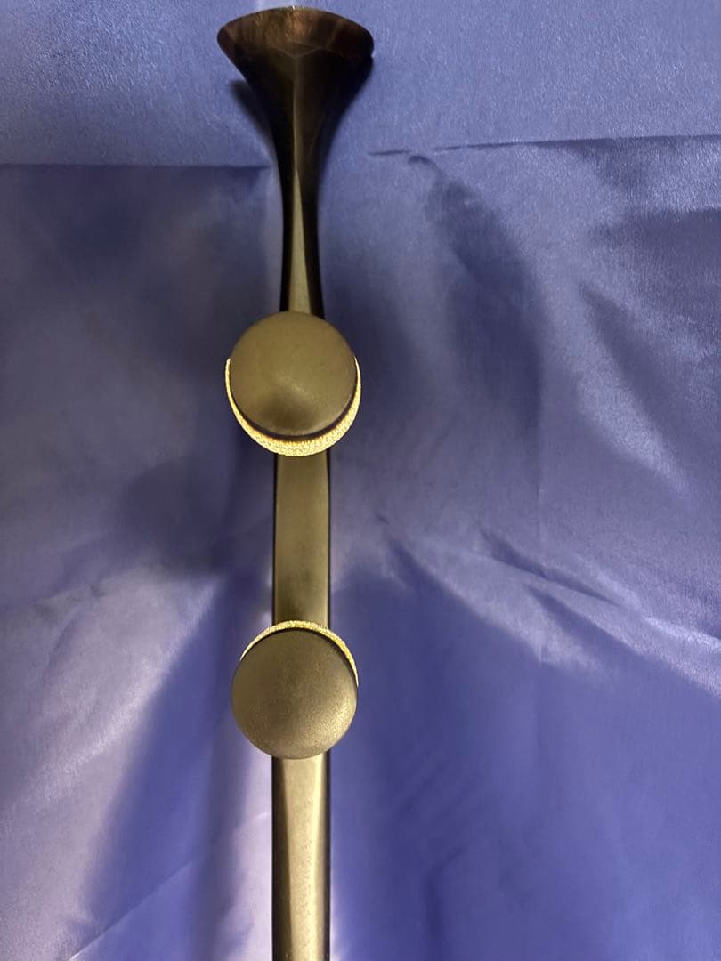 西野二胡　光舜堂（中上級者向け）