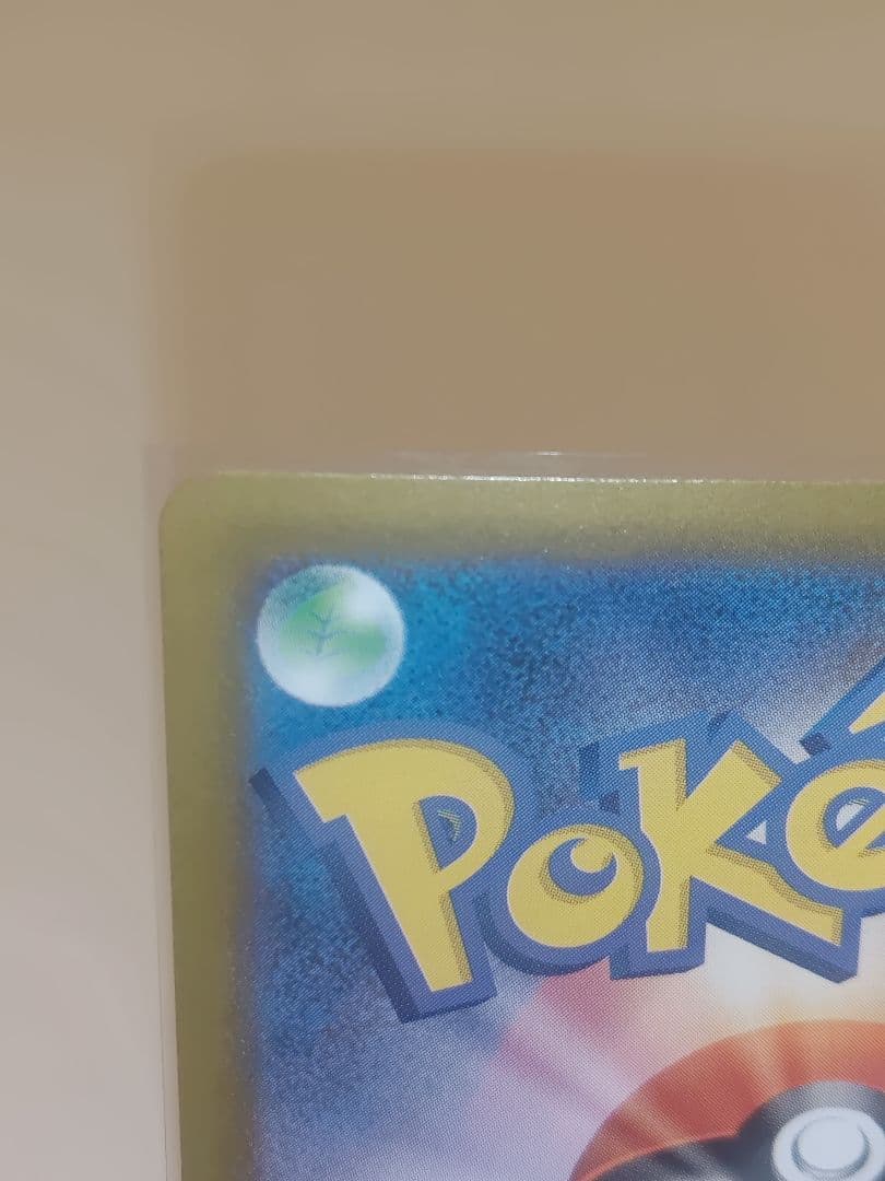 銀*次様 PSA鑑定用メガリザードンXex 110/080