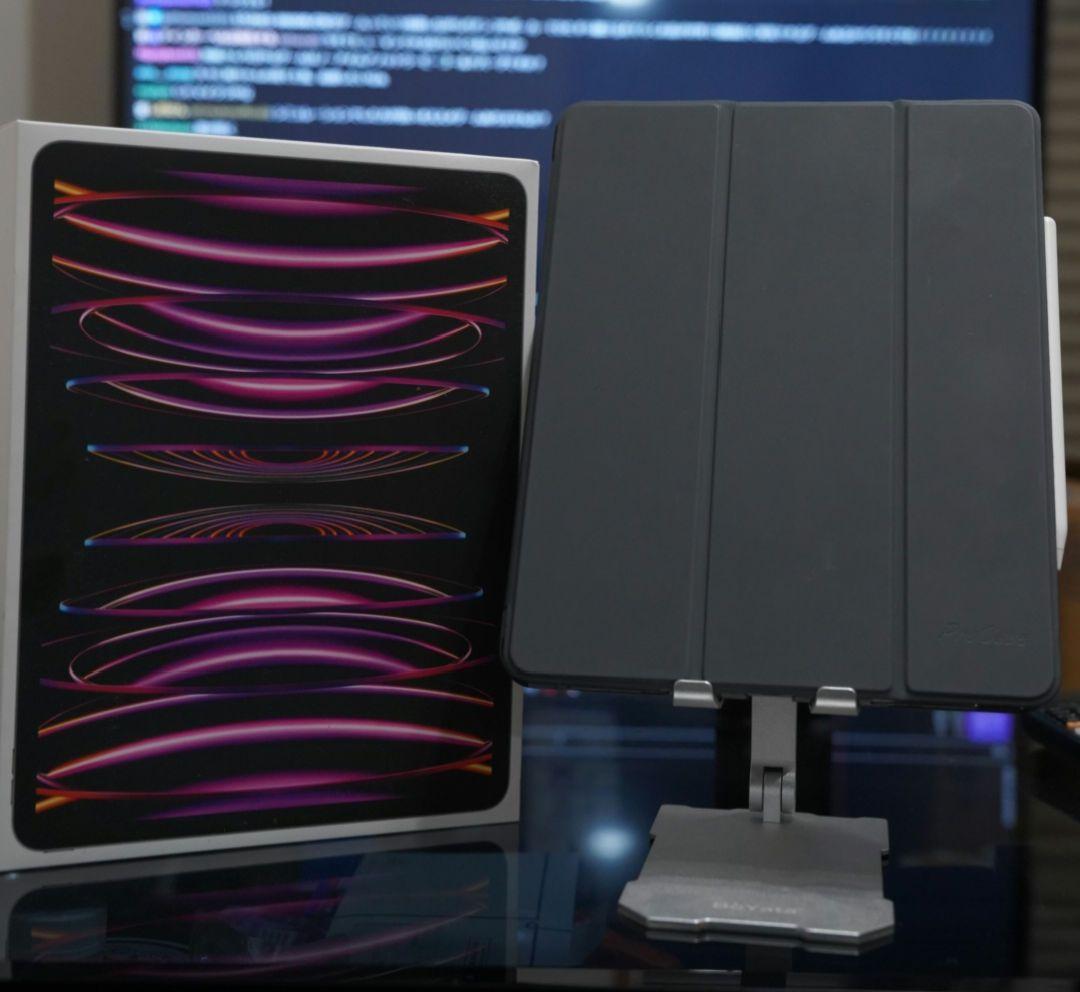 iPad Pro 12.9 (第6世代)256GB 社外Pencil付(交渉可)