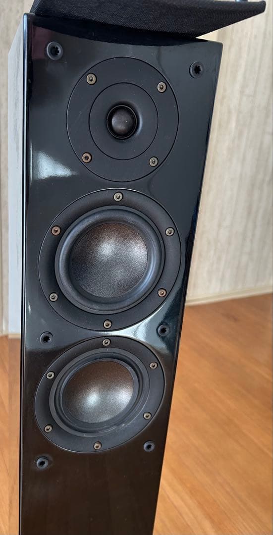 DENON SC-T33SG スピーカー