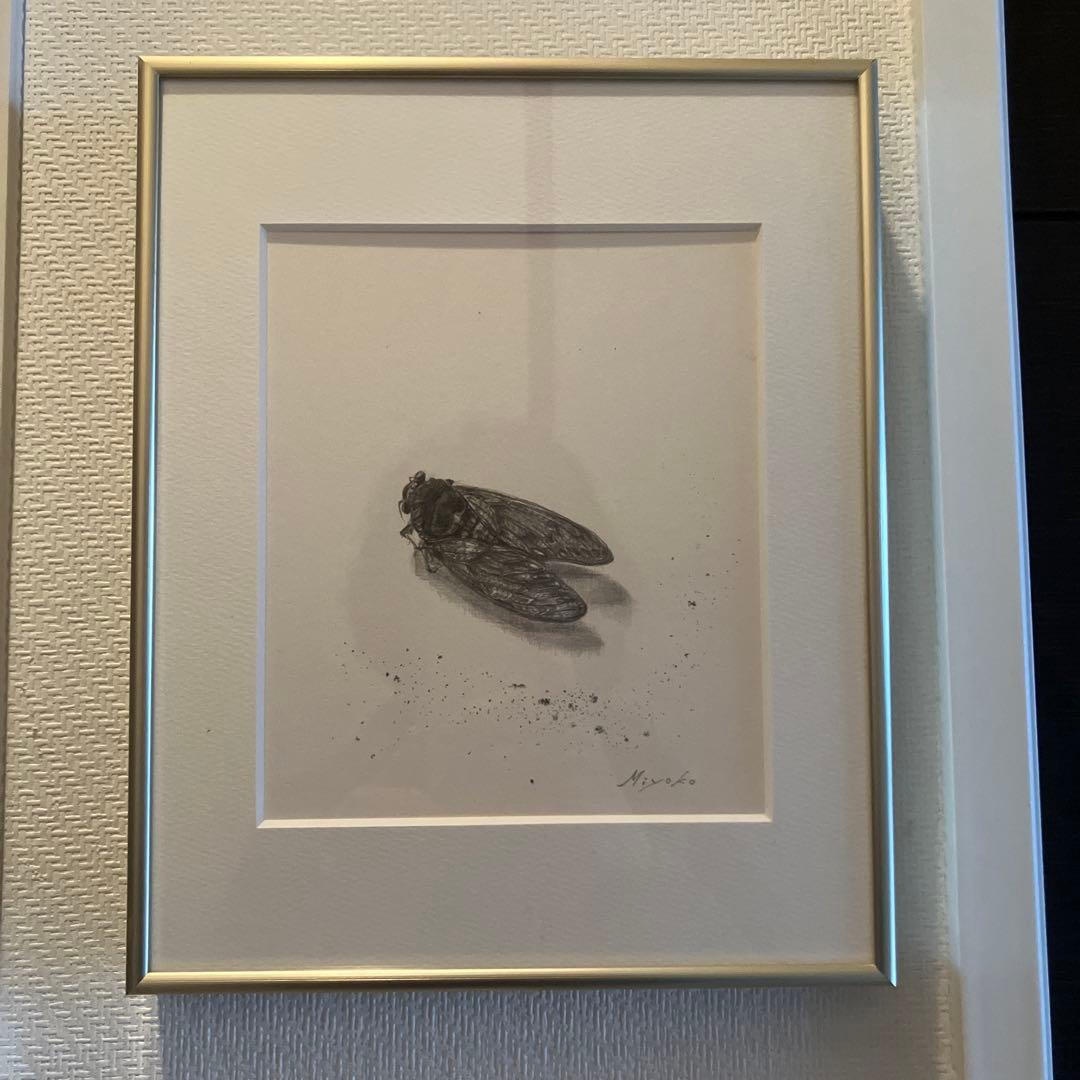 セミの鉛筆画 A4サイズ 艶消しゴールド額装