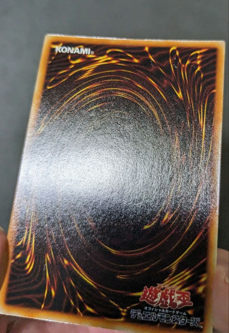 tynです。　ホーリーナイトドラゴン、初期、シク