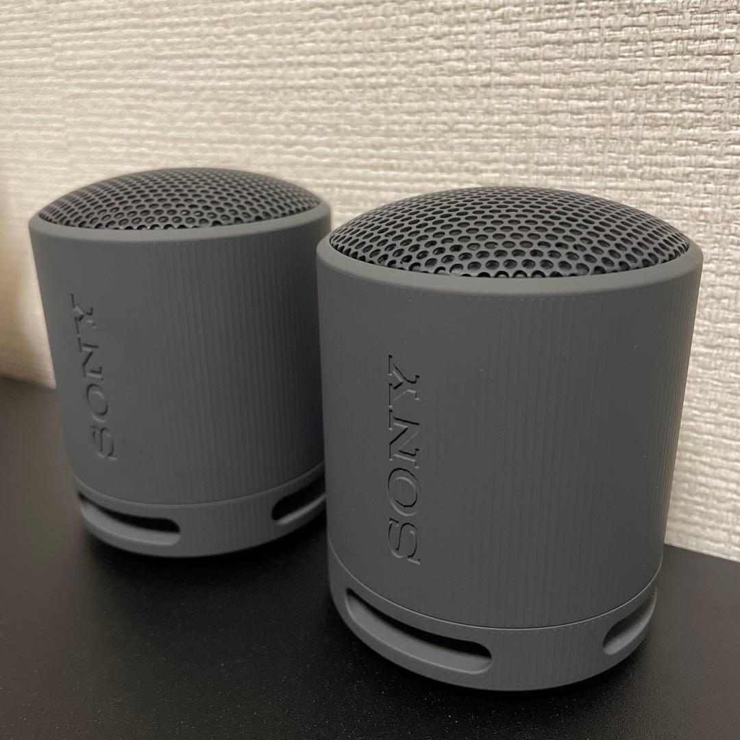 【バラ売り⭕️】SONY SRS-XB100 2台セット