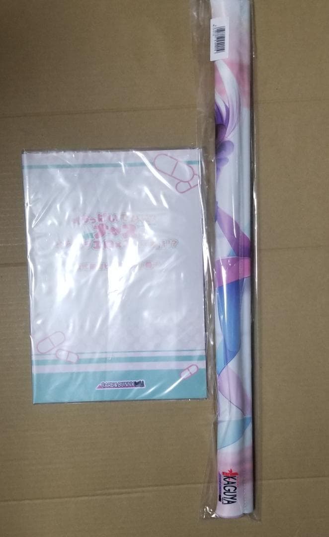 アトリエかぐや BARE＆BUNNY 冊子 タペストリー choco-chip