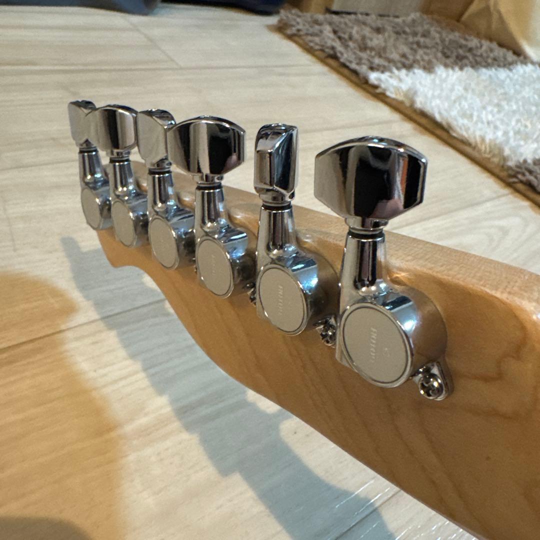 「25th ピック2枚セット」バッカス　バンビーナキャスター風　テレキャスター