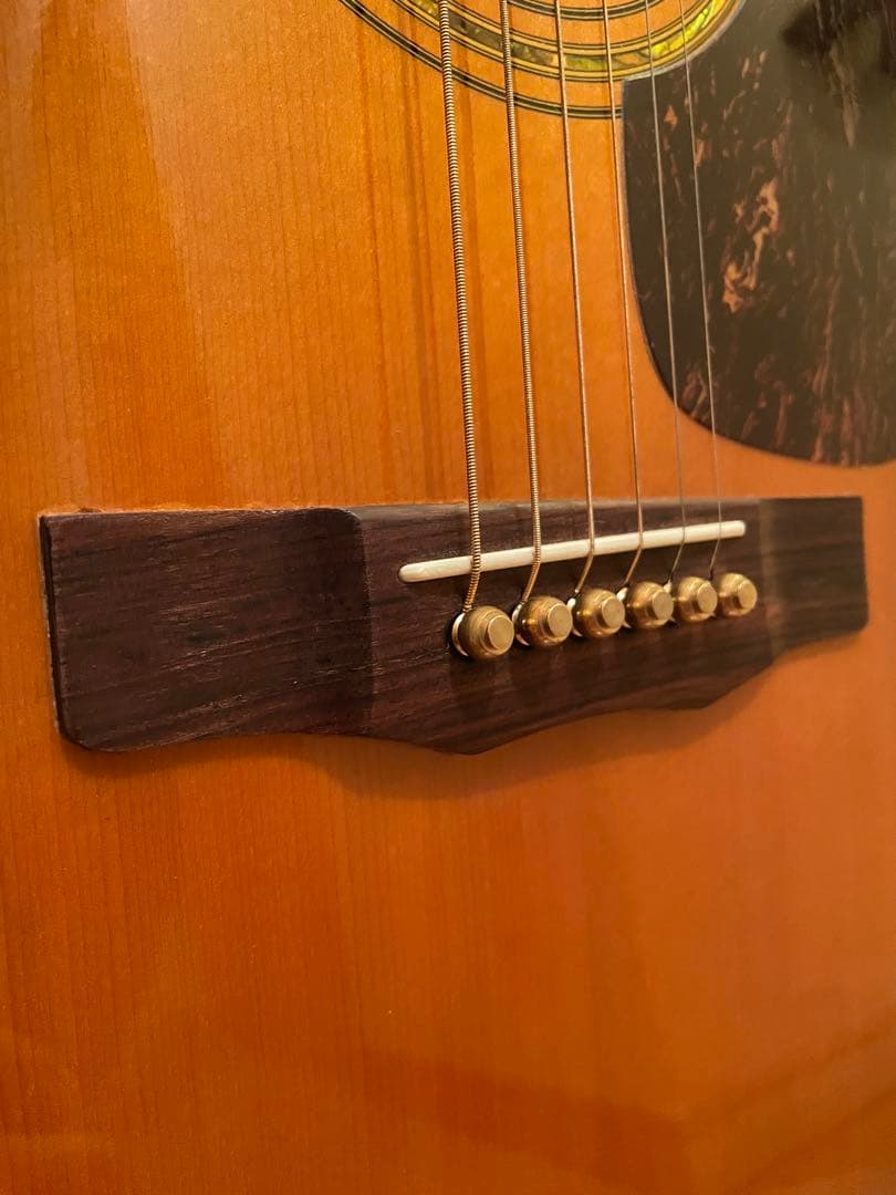 MJ Morris M601 ハカランダ 美品 引き取り限定