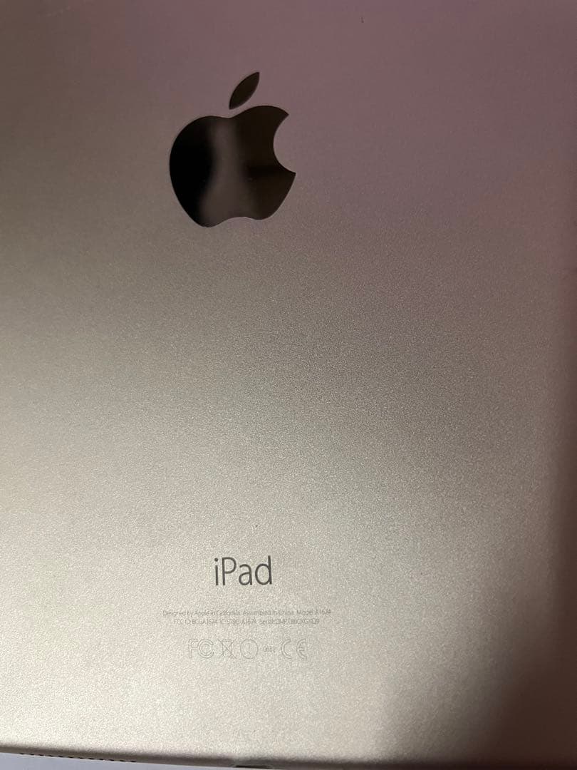 iPad Pro 9.7インチ 256GB Wi-Fiモデル 訳あり品 HDMI