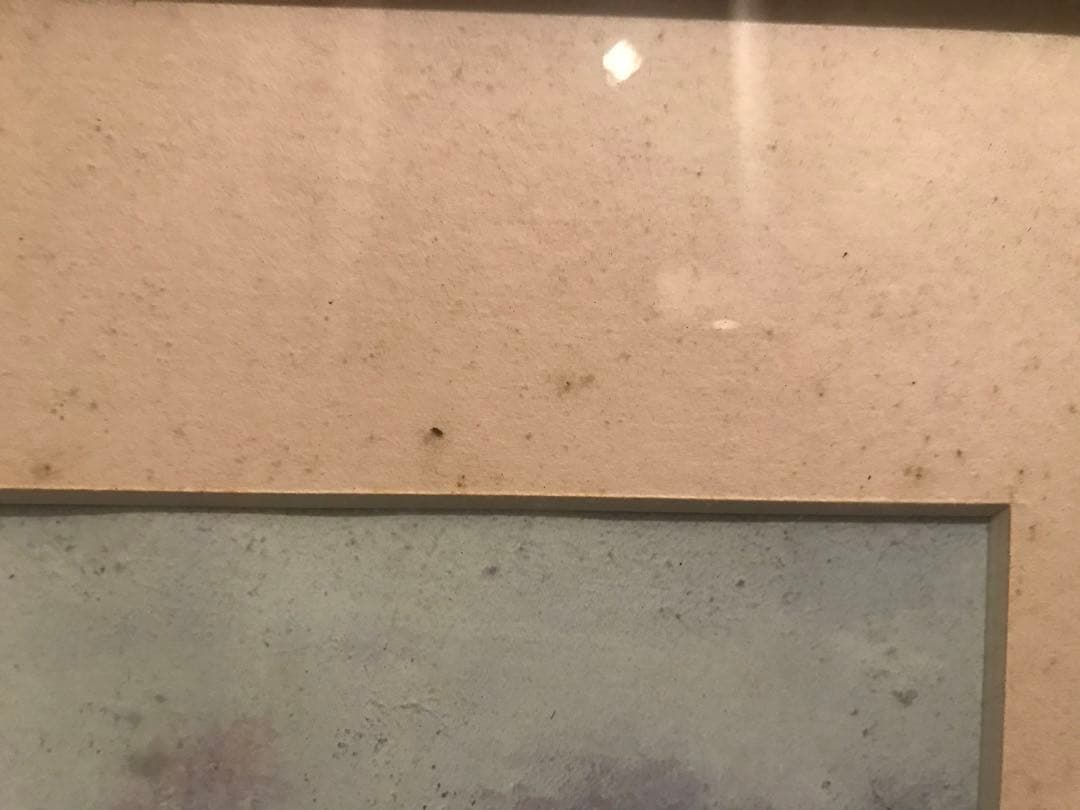 羊飼いの少女 詩篇 絵画