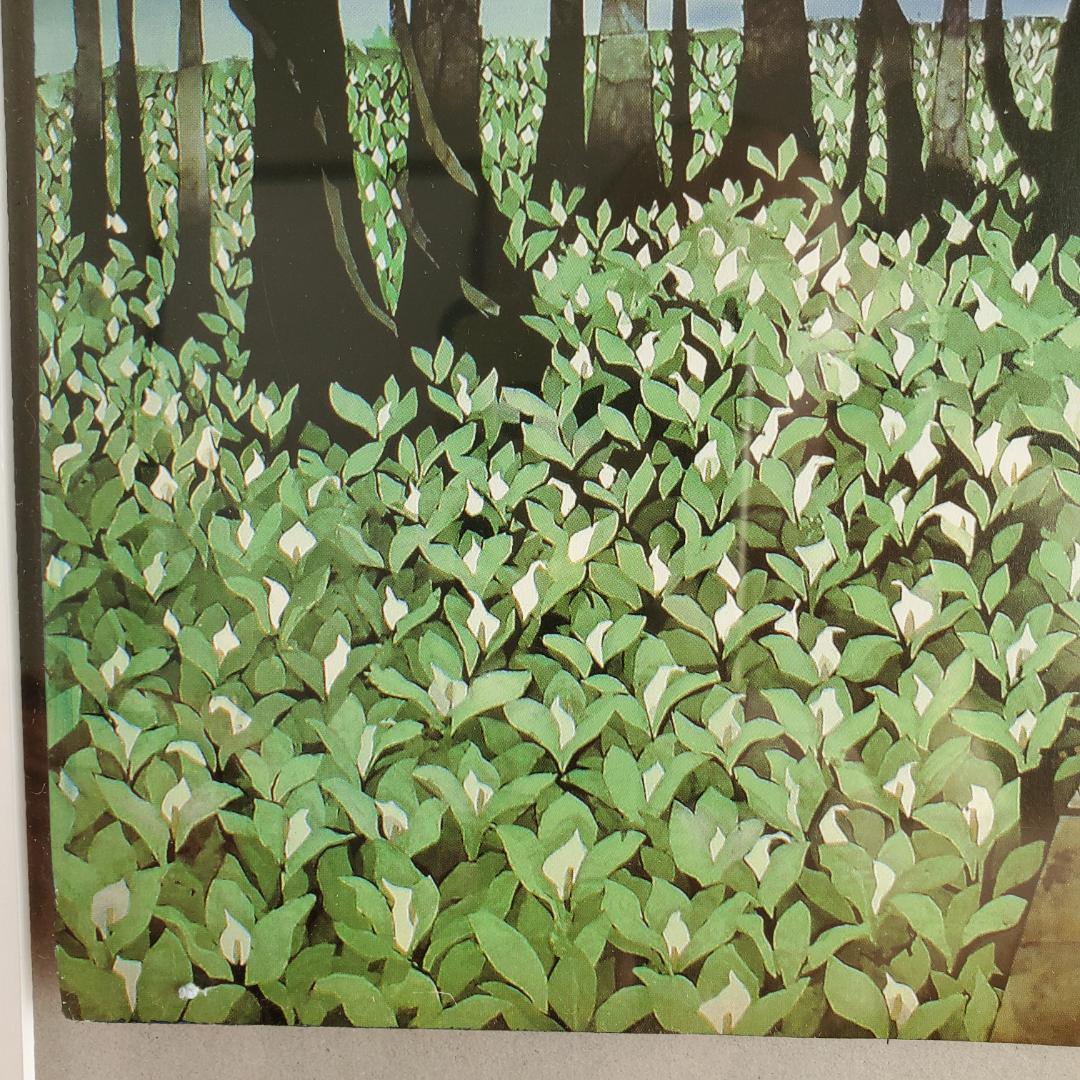 藤城清治 オフセットリト 湿原のミズバショウとこびと 額装 60 正方形 影絵