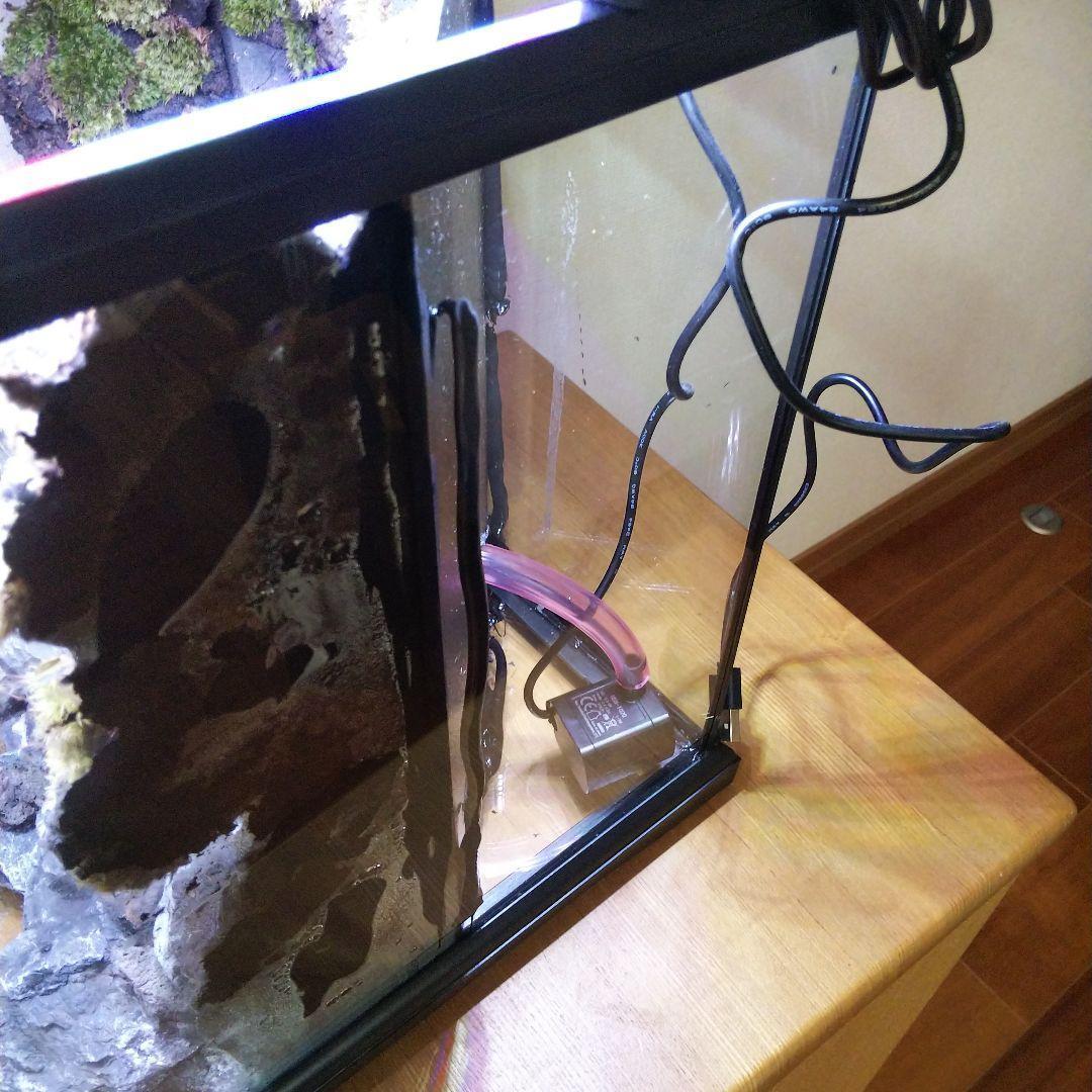 【受注生産】イモリウムグラステラリウム3030　苔テラリウム　アクアテラリウム