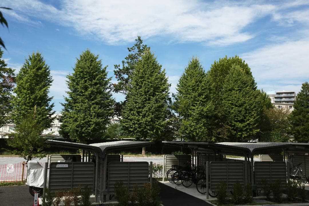 Canon キヤノン EF17-40mm F4L USM