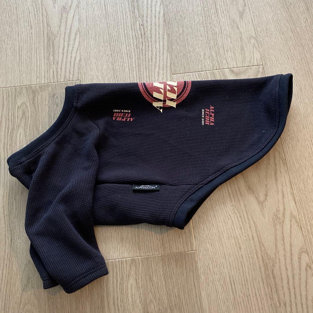 アルファアイコン ドライニットティー