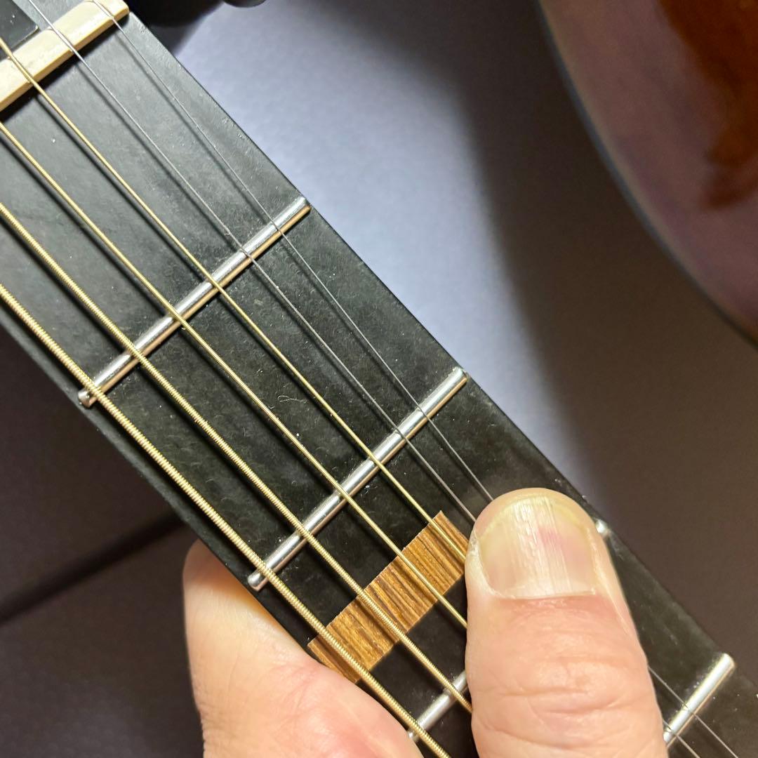 【美品】James アコースティックギターJ-100A MHT ギグケース付属