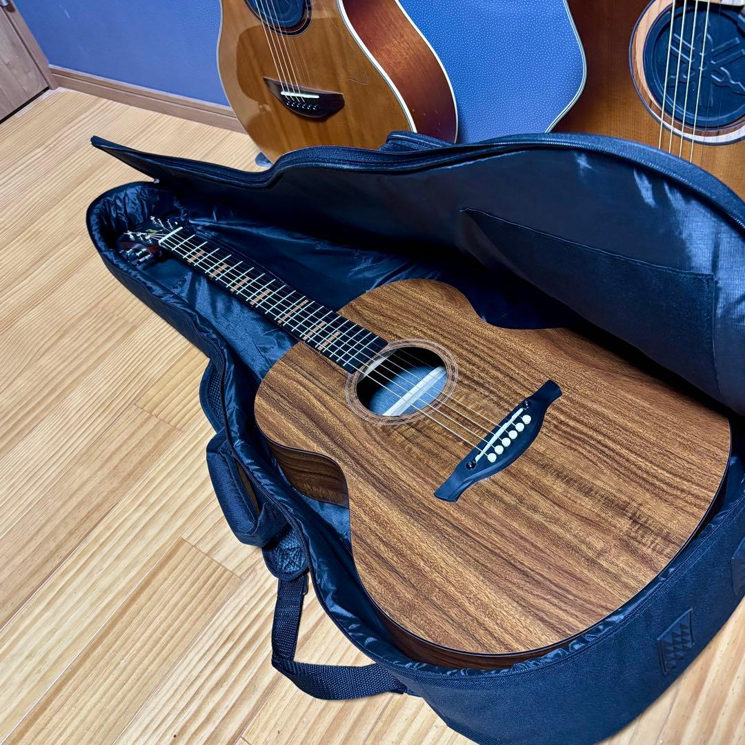 【美品】James アコースティックギターJ-100A MHT ギグケース付属