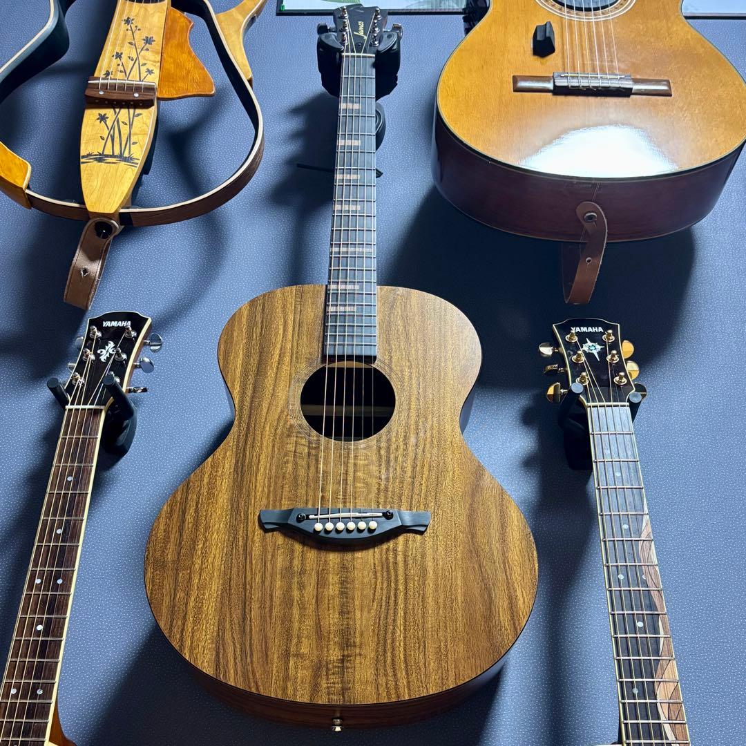 【美品】James アコースティックギターJ-100A MHT ギグケース付属