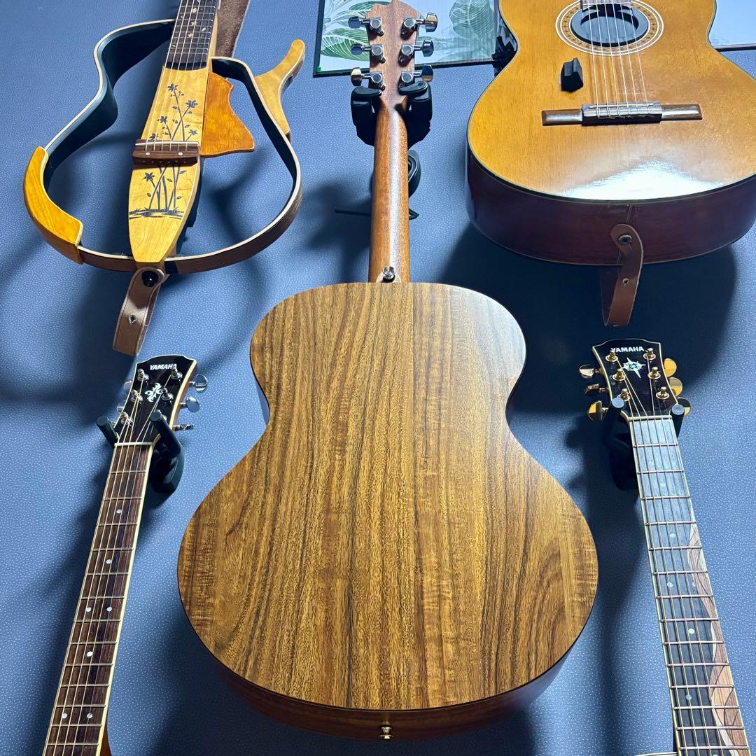 【美品】James アコースティックギターJ-100A MHT ギグケース付属