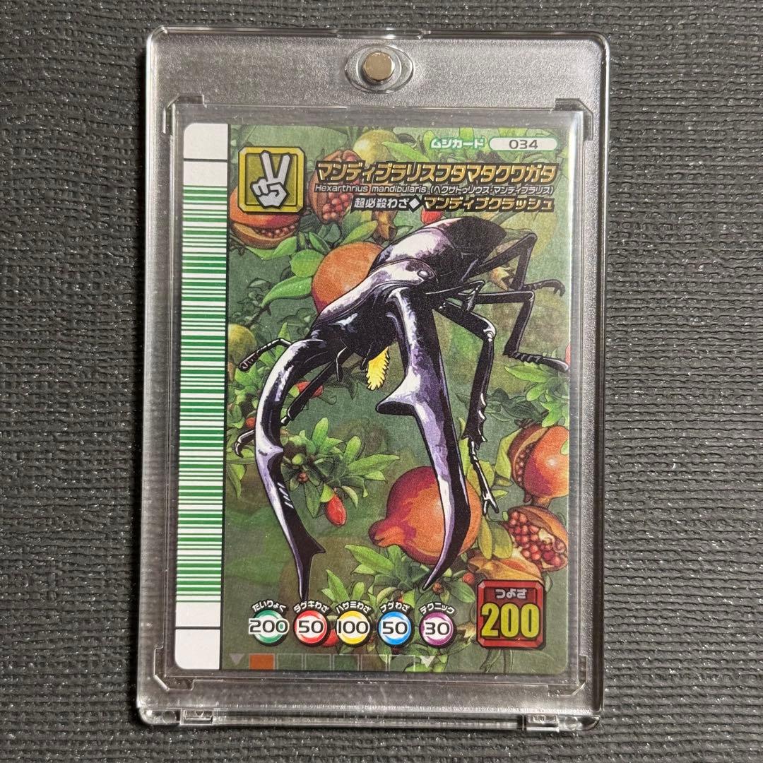 最終値下げ❗️ ムシキング 5周年 マンディブラリスフタマタクワガタ 緑バーコード