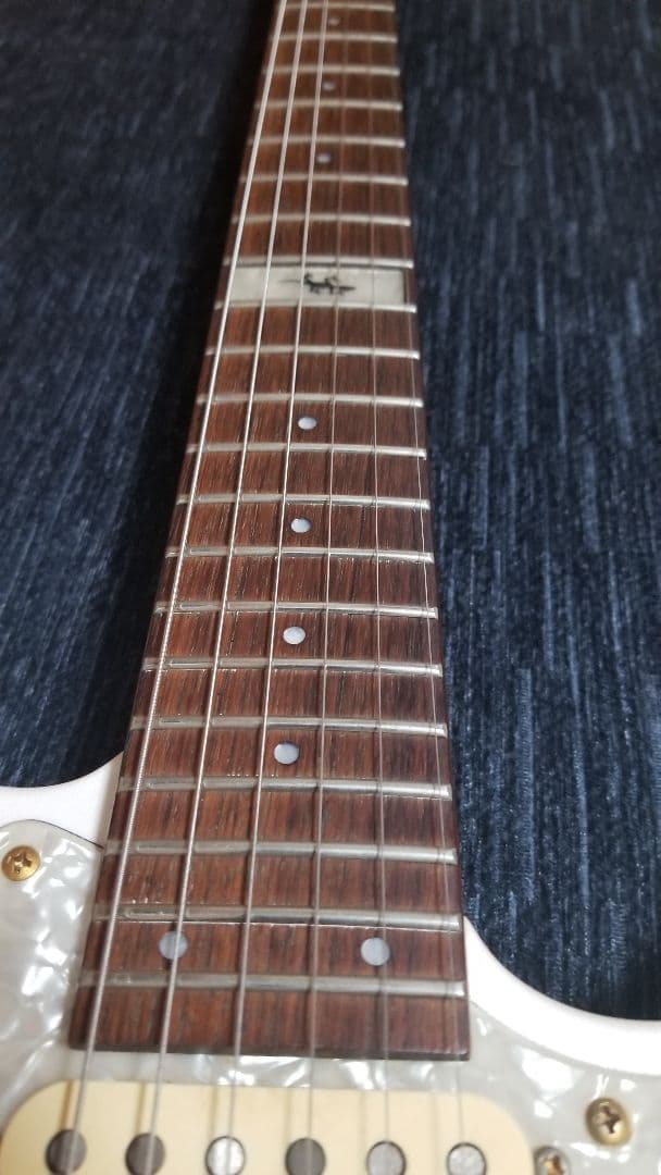 FERNANDES LA-80kk L'Arc-En-Ciel.Gotoh ペグ