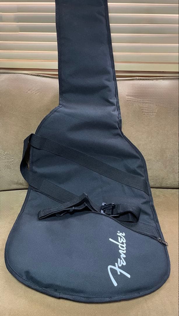 Fender Stratocaster ブラック　PLAYER STRAT MX