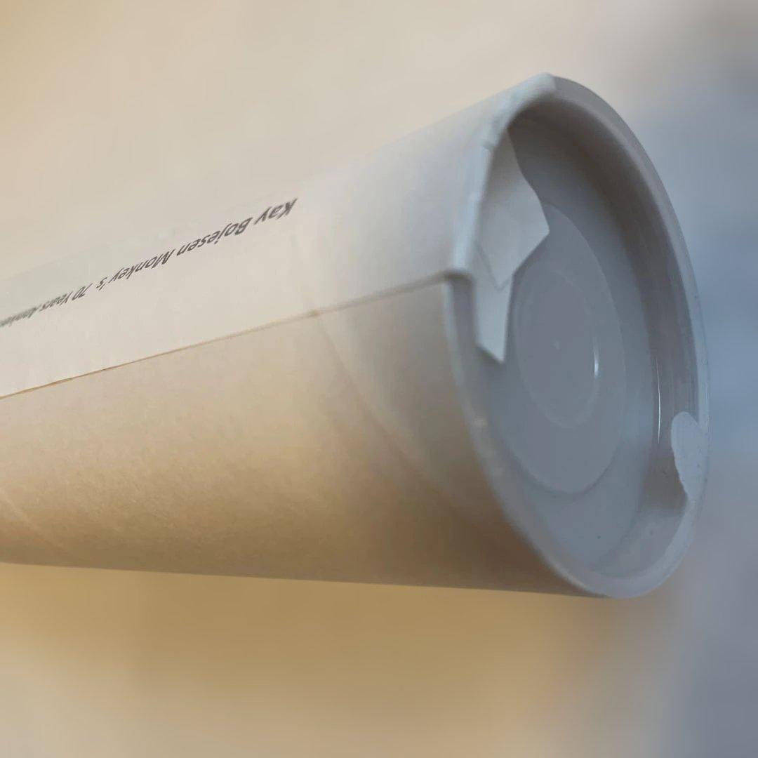 おまけ付き　未開封　カイボイスン　モンキー　ポスター　馬場雄