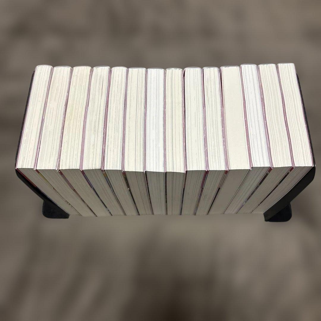 サイレント・ウィッチ 全巻 小説 ラノベ 全14冊 アニメ化 購入特典付き