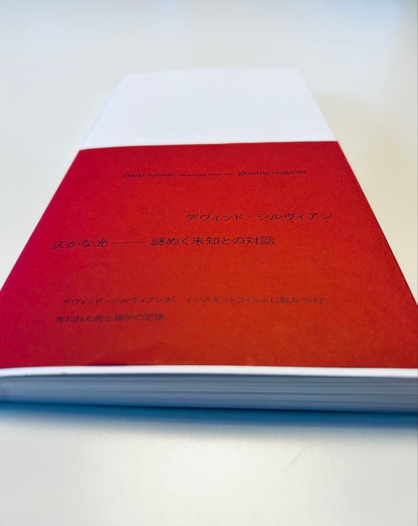 デヴィッド・シルヴィアン　ポラロイド写真集