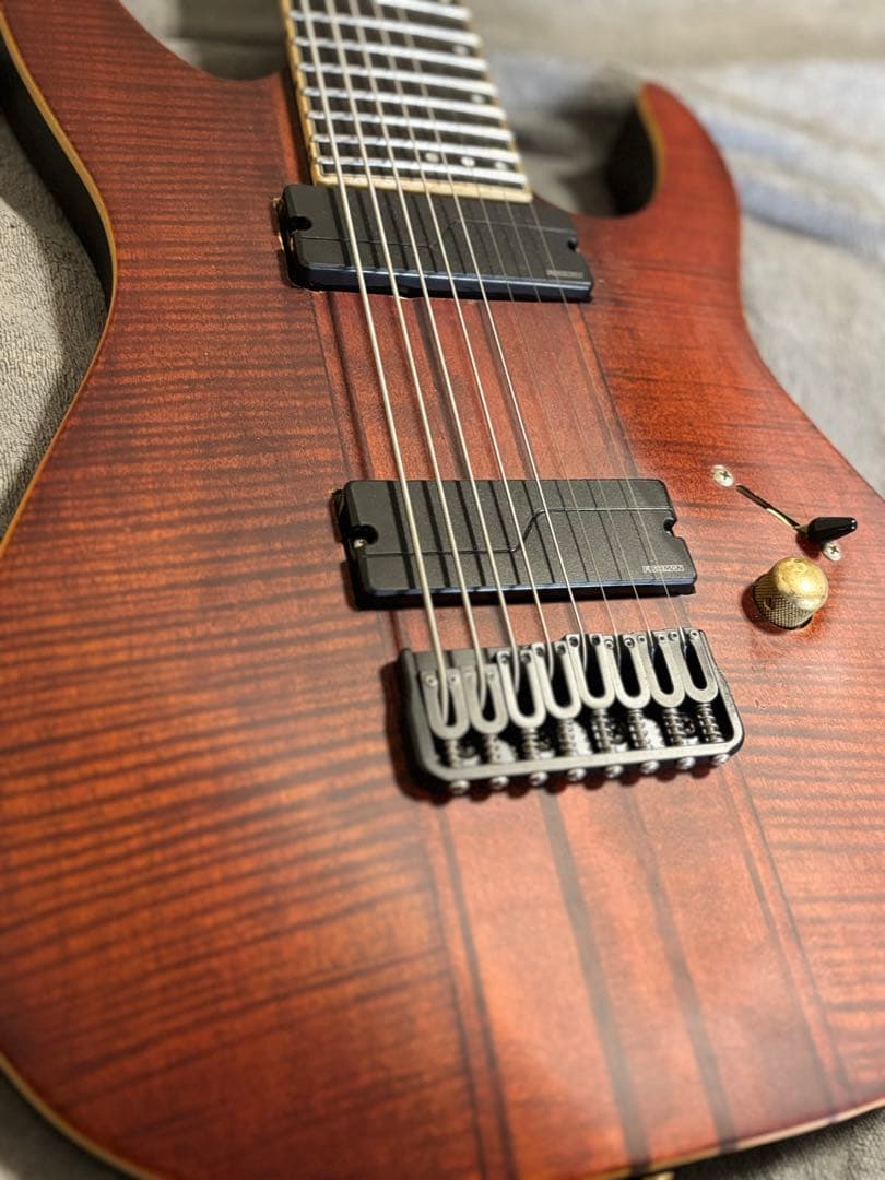 ギター SCHECTER Banshee Elite 8(Fishmanpickup)