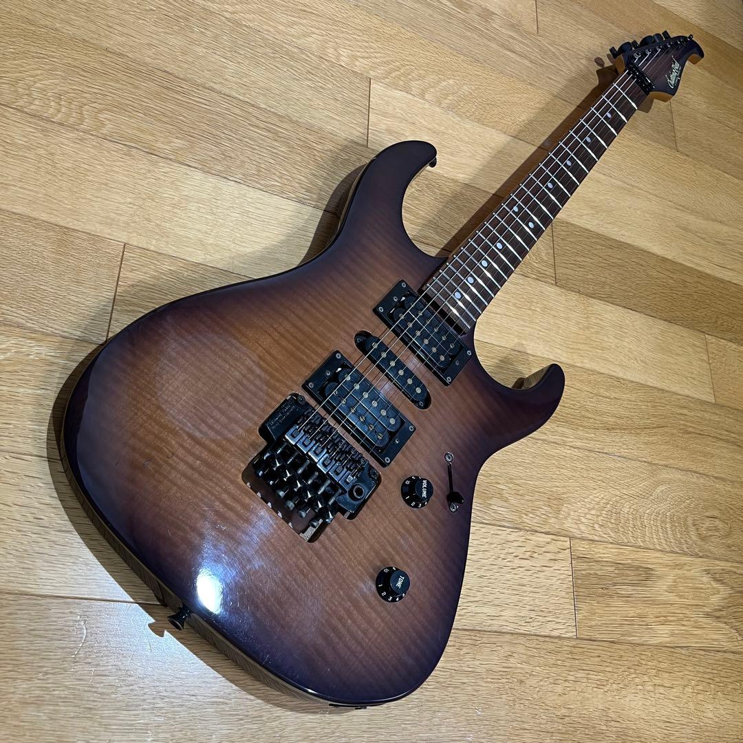 m*n様 Chatting Bird by Caparison ディンキータイプ