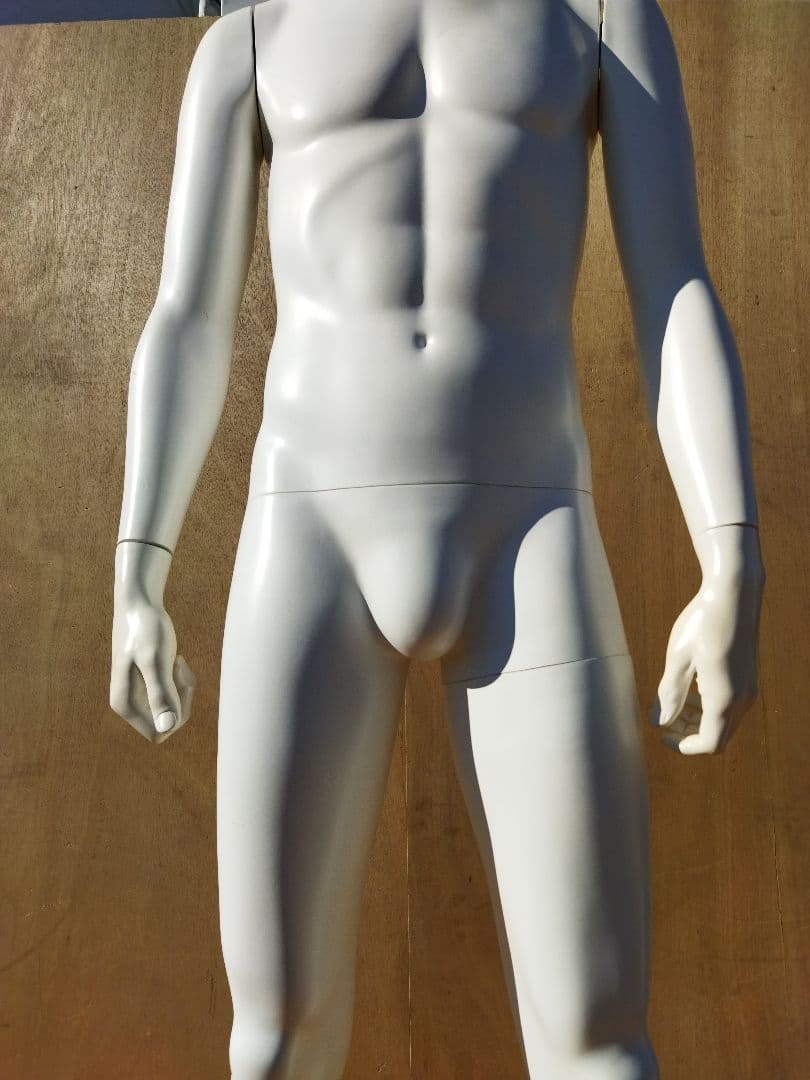 男性用マネキン トルソー 約50×43×H170cm　人形　等身大