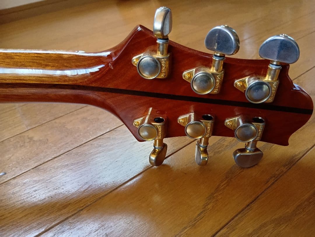 ギター Greg Bennett