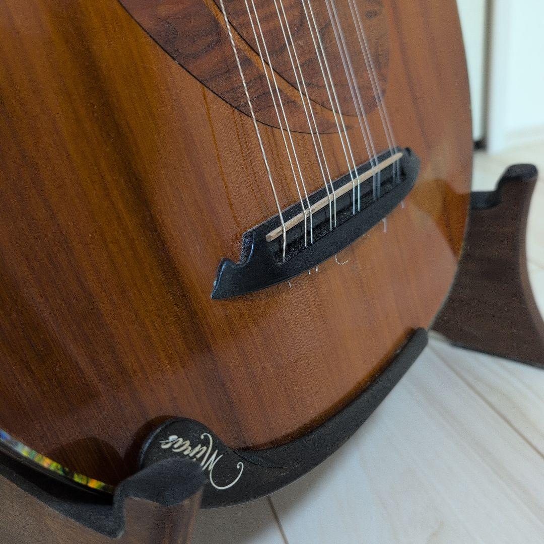 木製トルコウード MirasLuteのブランド ハードケース付き