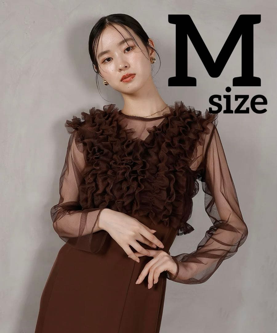 チュール フリル ベスト シアー トップス ワンピース 3点セット