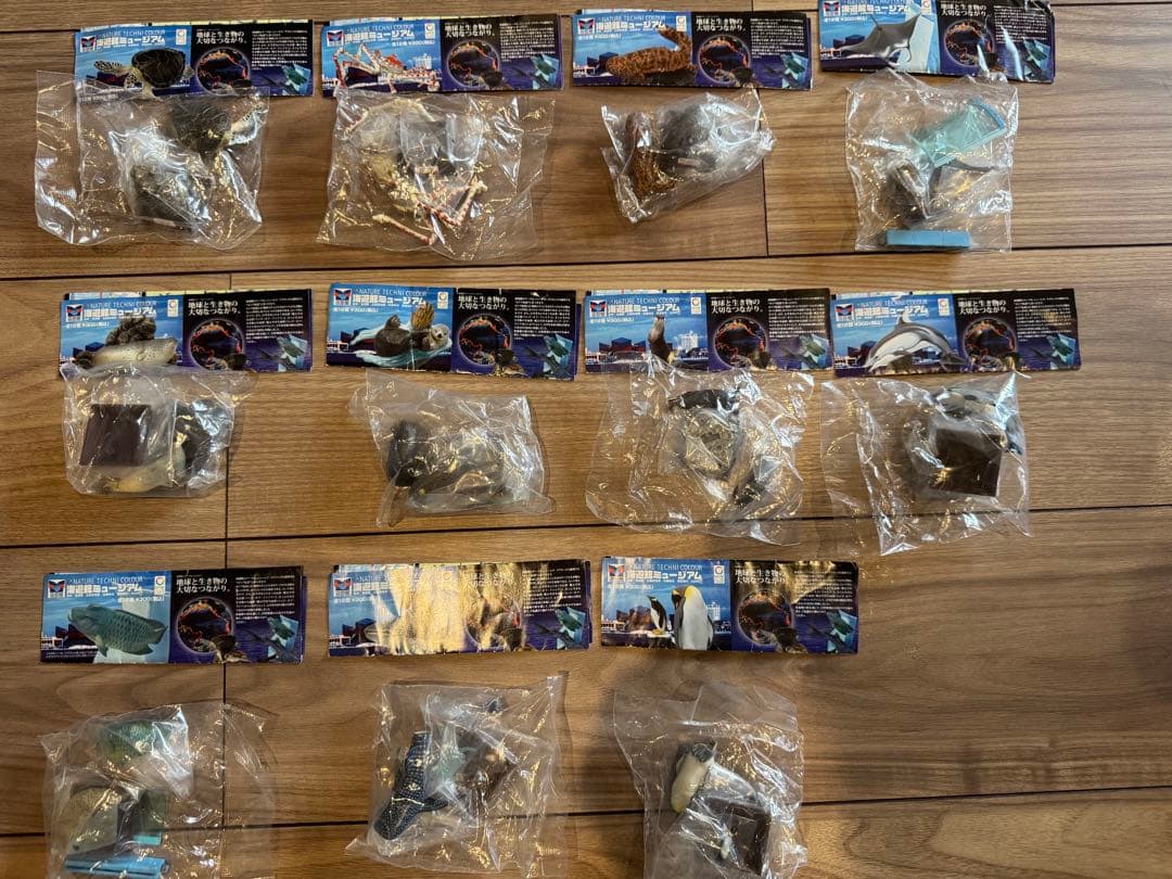 海遊館　ネイチャーテクニカラー　未開封　11種類