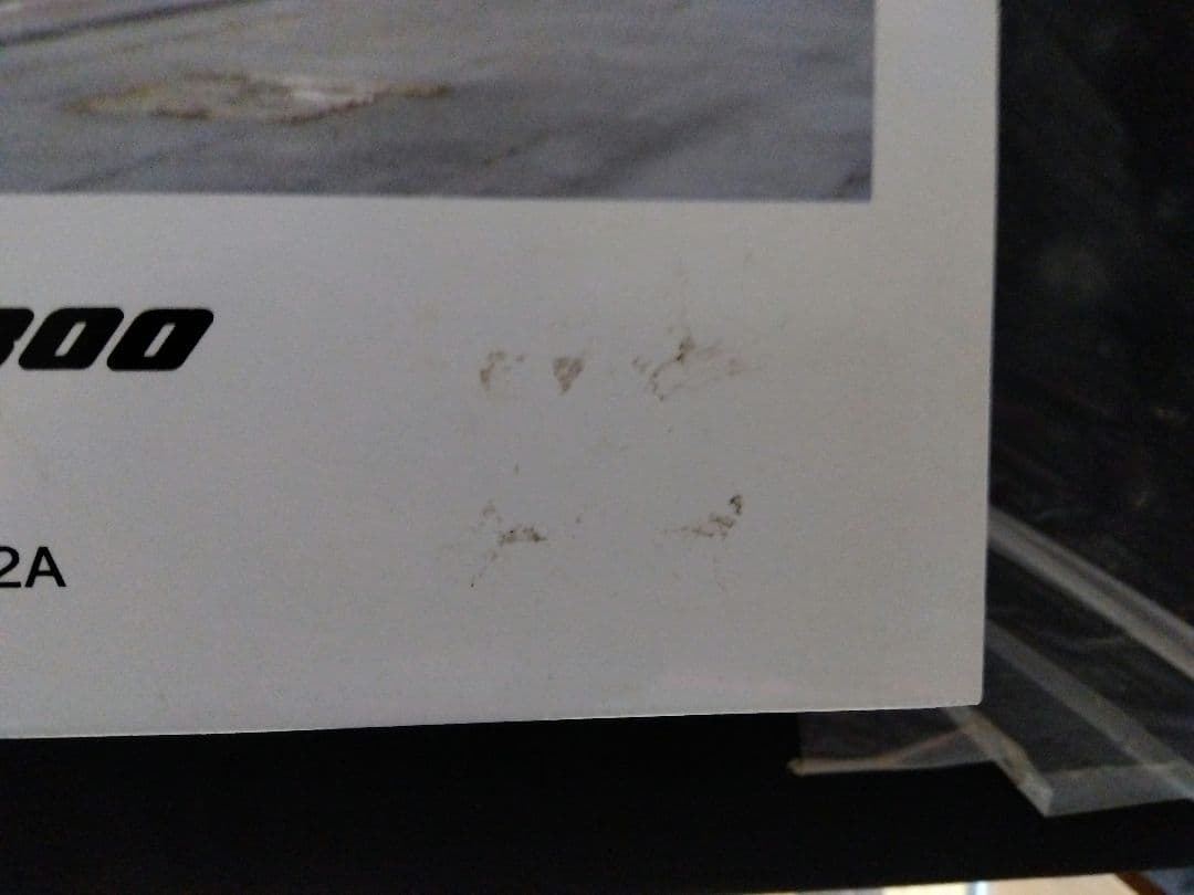 ANAモヒカンルック 767-300 模型