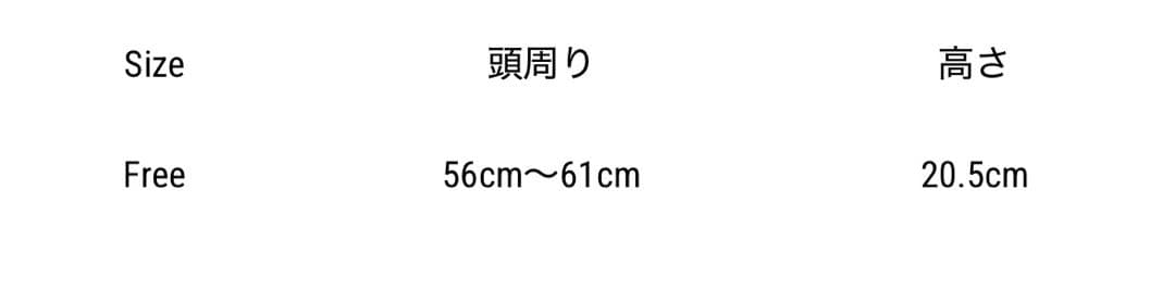 HYSFORM BEANIE 松井利樹着用