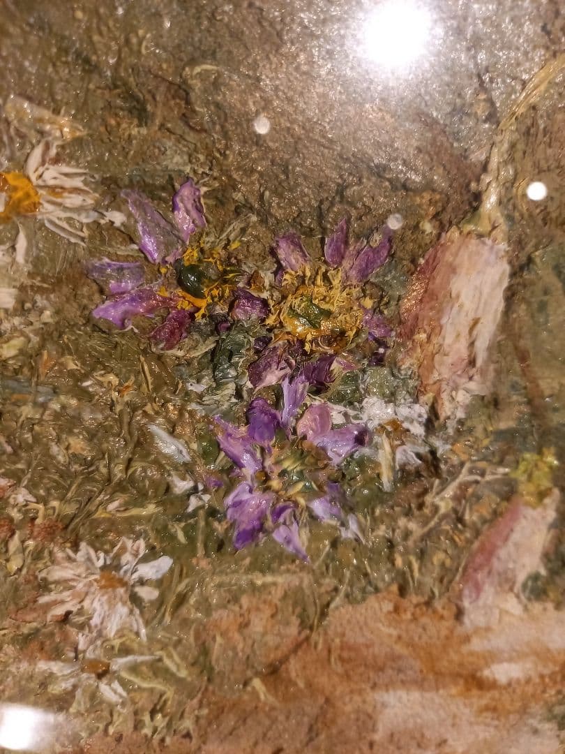 大和修治　野の花　油彩　キャンバス　額装 現代洋画精鋭選抜金賞　サイン入