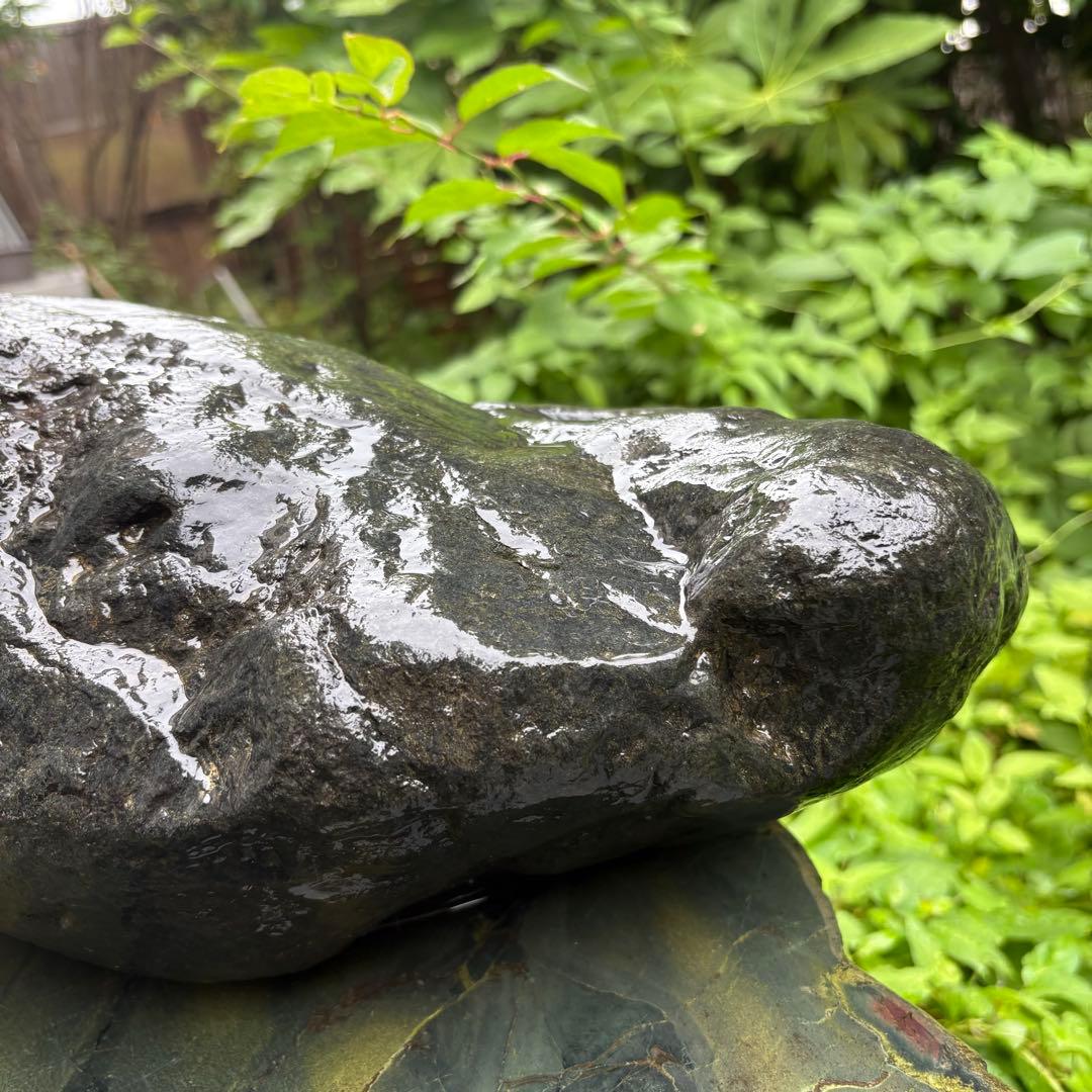 【お値下げ！希少 大型八海山石22.1kg ウブ石】アクアリウム 親石　ジャグレ