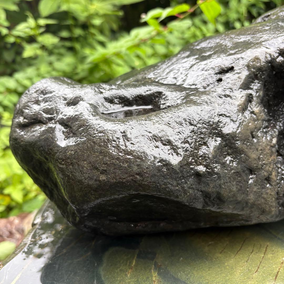 【お値下げ！希少 大型八海山石22.1kg ウブ石】アクアリウム 親石　ジャグレ